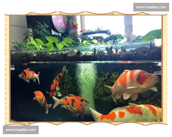 揭秘解说文案创作技巧与实用素材提升内容吸引力的全方位指南